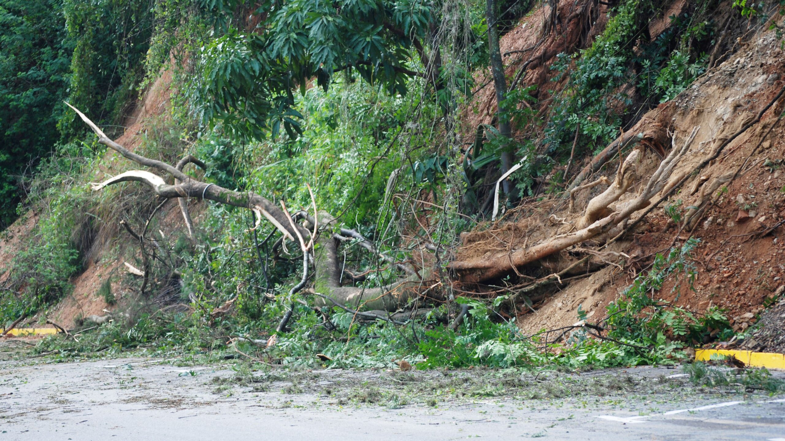 Why Reckless Funding Deepens Disasters I Finance Matters, 15 August 2025 I Editorial