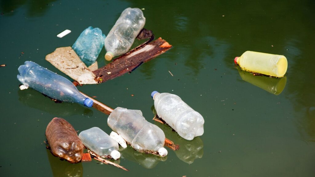 People Using Plstic Three Months On, India's Single-Use Plastic Ban A Dud - Centre for ...