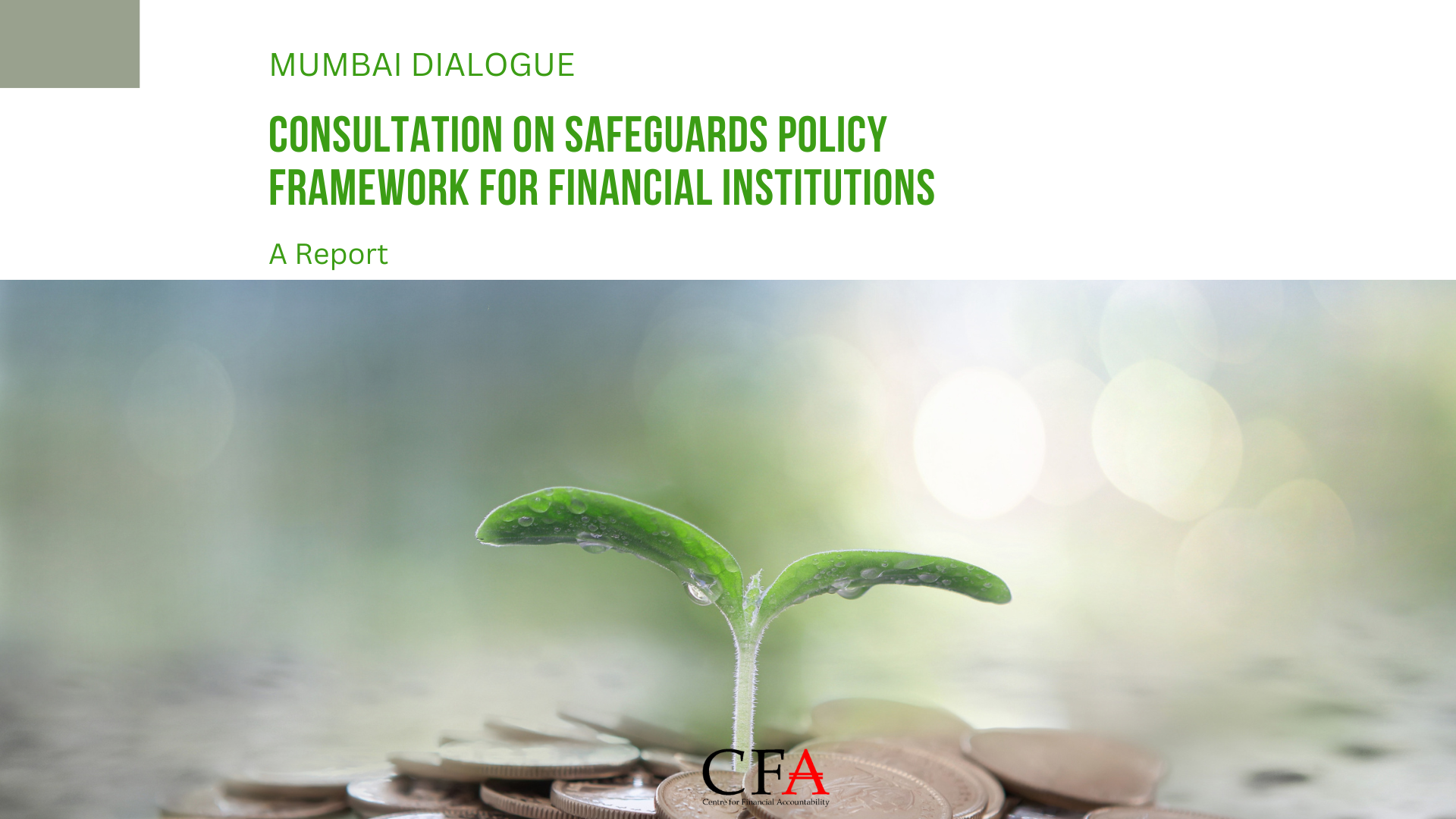 Consultation on safeguards policy framework for financial institutions: A Report