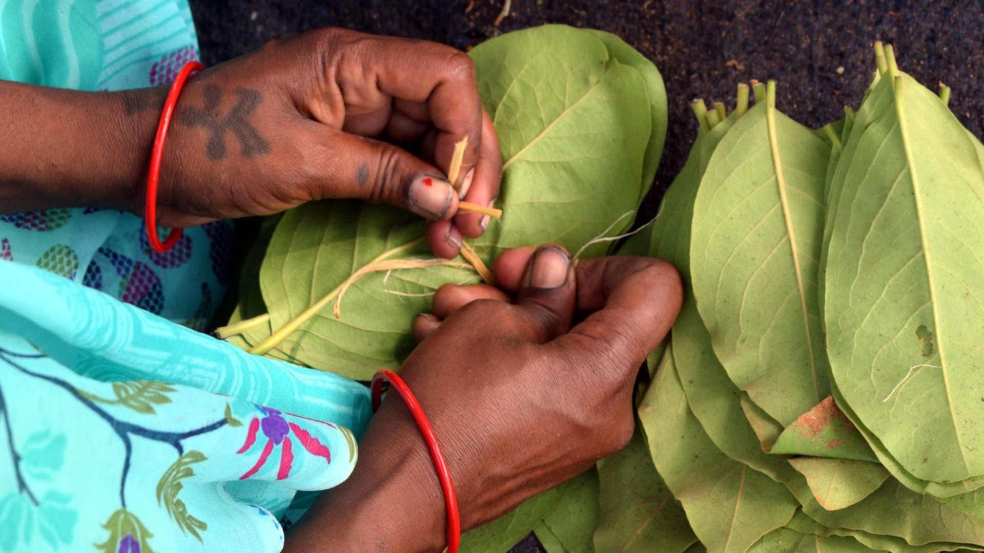 तेंदूपत्ता प्रबंधन से आत्मनिर्भरता की ओर आदिवासी समाज