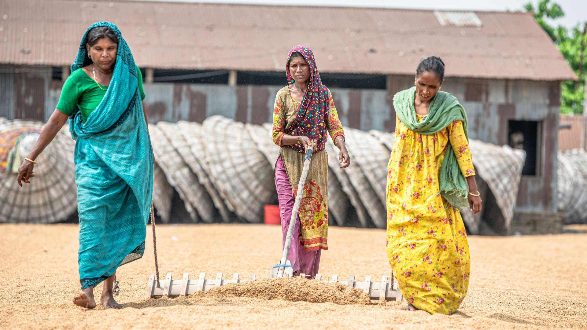 India Out of Work