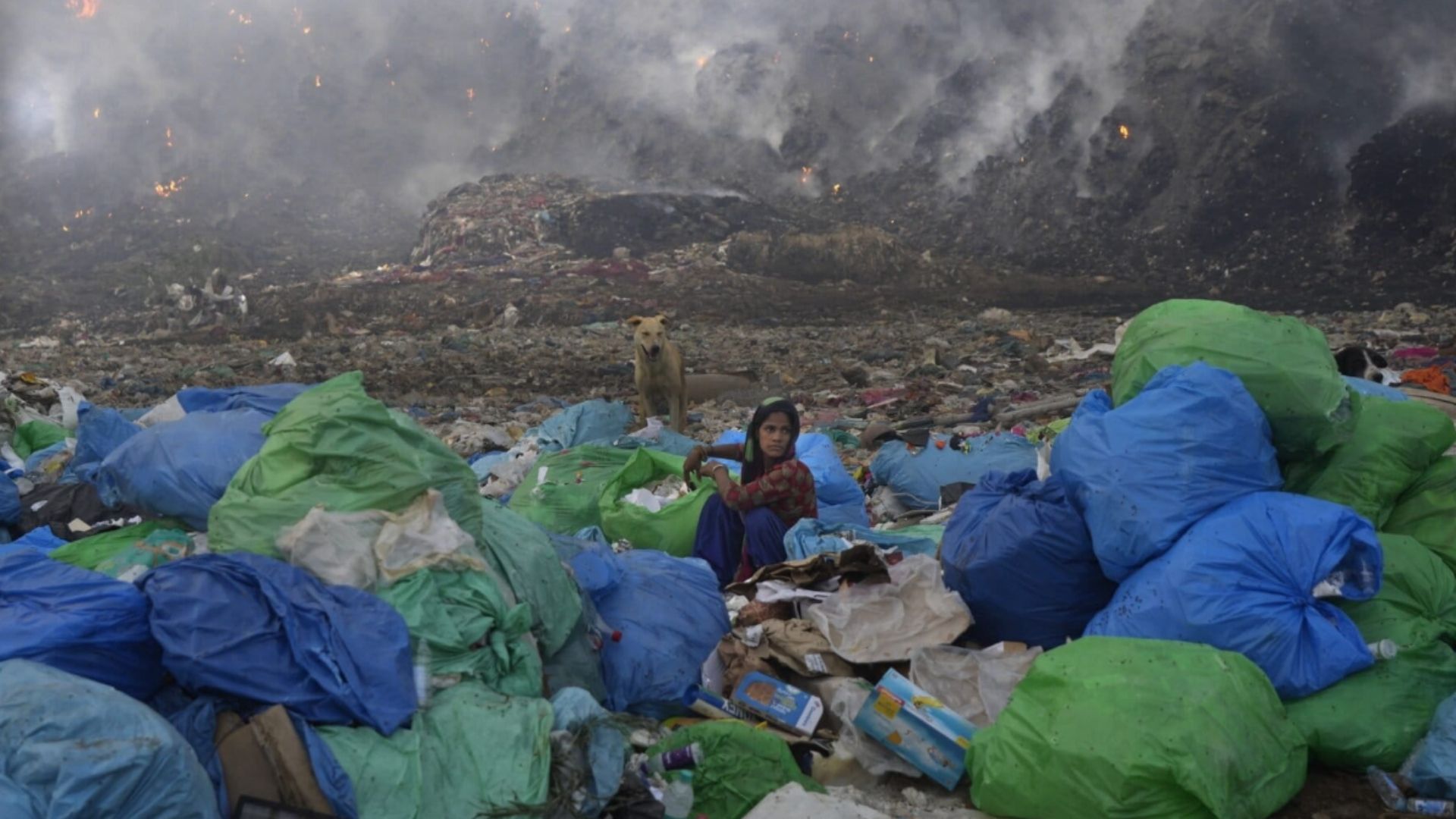 Burning waste is a waste of money