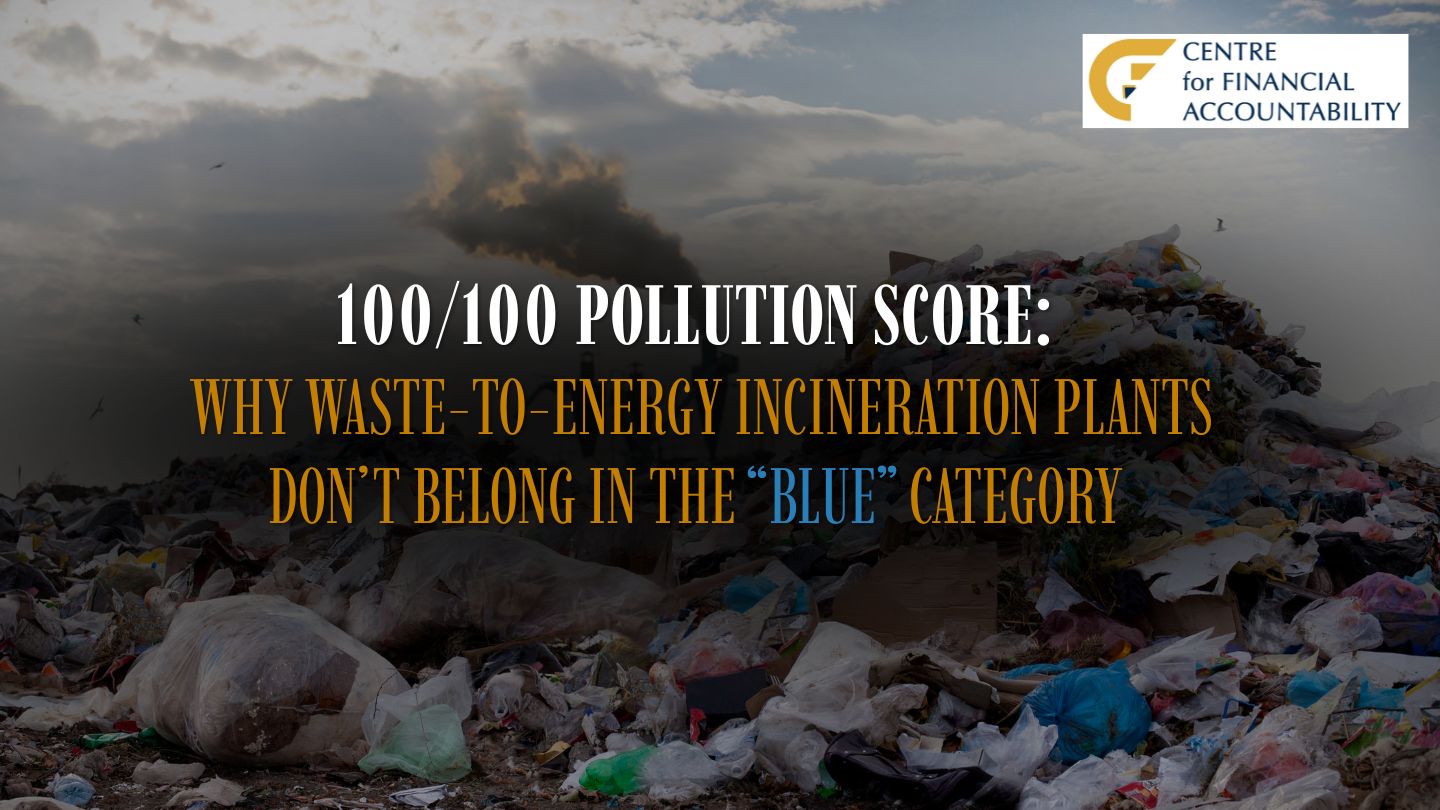100/100 POLLUTION SCORE: WHY WASTE-TO-ENERGY PLANTS DON’T BELONG IN THE “BLUE” CATEGORY